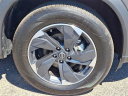 Thumbnail image of 2024 Nissan Rogue at Honda of Bridgewater
