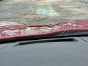 Thumbnail image of 2008 Chevrolet Corvette at Greenwood Chevrolet