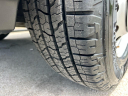 Thumbnail image of 2023 Ford Transit at Gillie Hyde Ford-Linc-Merc-Chy