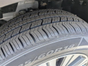 Thumbnail image of 2023 Nissan Rogue at Lee Nissan