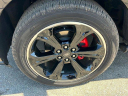Thumbnail image of 2024 Ford Expedition MAX at Sugar Loaf Ford USED