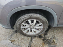 Thumbnail image of 2021 Honda Pilot at GengrasVolkswagen NEW