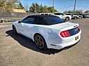 Thumbnail image of 2018 Ford Mustang at Tejas Motors II