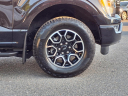 Thumbnail image of 2022 Ford F-150 at Leonardtown Ford