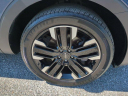 Thumbnail image of 2024 Kia Telluride at OrlandoKiaNorth - USED - SHARED