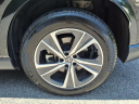 Thumbnail image of 2023 Lexus RX 350 at Ray Catena Lexus Monmouth