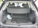 2022 Volkswagen Tiguan SE 4Motion at Palmetto57Volkswagen - [New]