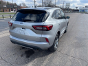 Thumbnail image of 2024 Ford Escape at Golling CDJR of Grosse Pointe