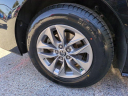 Thumbnail image of 2022 Toyota Sienna at Wesley Chapel Nissan