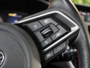 Thumbnail image of 2019 Subaru Forester at Goldstein Subaru