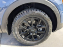 Thumbnail image of 2024 Kia Telluride at Tamiami Hyundai Mitsubishi Used