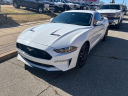 Thumbnail image of 2020 Ford Mustang at Dick Bailey Motors