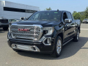 Thumbnail image of 2019 GMC Sierra 1500 at Riverhead Ford