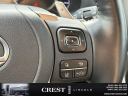 Thumbnail image of 2021 Lexus NX 300 at Crest Lincoln Sterling Heights