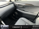 Thumbnail image of 2021 Lexus NX 300 at Crest Lincoln Sterling Heights