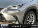 Thumbnail image of 2021 Lexus NX 300 at Crest Lincoln Sterling Heights