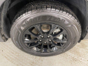 Thumbnail image of 2023 Jeep Cherokee at USED - Serra Traverse City