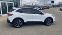 Thumbnail image of 2021 Ford Escape at Les Stumpf Ford - New and Used