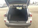 Thumbnail image of 2021 Ford Escape at Les Stumpf Ford - New and Used