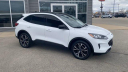 Thumbnail image of 2021 Ford Escape at Les Stumpf Ford - New and Used