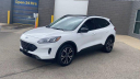 Thumbnail image of 2021 Ford Escape at Les Stumpf Ford - New and Used