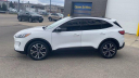 Thumbnail image of 2021 Ford Escape at Les Stumpf Ford - New and Used