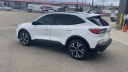 Thumbnail image of 2021 Ford Escape at Les Stumpf Ford - New and Used