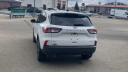Thumbnail image of 2021 Ford Escape at Les Stumpf Ford - New and Used
