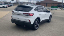 Thumbnail image of 2021 Ford Escape at Les Stumpf Ford - New and Used