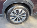 Thumbnail image of 2024 Subaru Outback at Victory Subaru