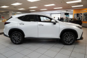 Thumbnail image of 2024 Lexus NX 350 at Serpentini Chevrolet of Strongsville
