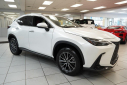 Thumbnail image of 2024 Lexus NX 350 at Serpentini Chevrolet of Strongsville