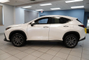 Thumbnail image of 2024 Lexus NX 350 at Serpentini Chevrolet of Strongsville