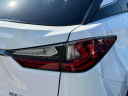 Thumbnail image of 2022 Lexus RX 350 at Lexus of Freeport