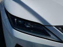 Thumbnail image of 2022 Lexus RX 350 at Lexus of Freeport