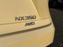 Thumbnail image of 2022 Lexus NX 350 at Riverhead Auto Mall