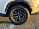 Thumbnail image of 2022 Lexus NX 350 at Riverhead Auto Mall