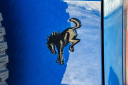 Thumbnail image of 2021 Ford Bronco at Marchese Ford of Mechanicville