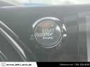 Thumbnail image of 2023 Lexus RX 350 at Stoler Lexus