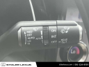 Thumbnail image of 2023 Lexus RX 350 at Stoler Lexus