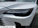 Thumbnail image of 2023 Lexus RX 350 at Stoler Lexus