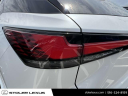 Thumbnail image of 2023 Lexus RX 350 at Stoler Lexus