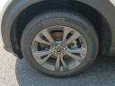 Thumbnail image of 2024 Ford Explorer at GillespieFord - New