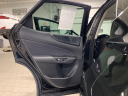 Thumbnail image of 2024 Lexus NX 350 at Lexus of Southampton