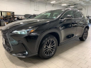 Thumbnail image of 2024 Lexus NX 350 at Lexus of Southampton
