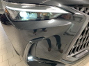Thumbnail image of 2024 Lexus NX 350 at Lexus of Southampton