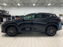 Thumbnail image of 2024 Lexus NX 350 at Lexus of Southampton