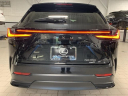 Thumbnail image of 2024 Lexus NX 350 at Lexus of Southampton