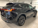 Thumbnail image of 2024 Lexus NX 350 at Lexus of Southampton
