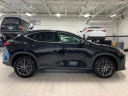 Thumbnail image of 2024 Lexus NX 350 at Lexus of Southampton